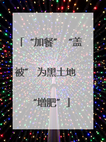 “加餐”“盖被” 为黑土地“增肥”